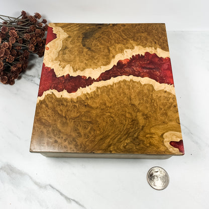 Red Resin, Brown Mallee Burl and Curly Maple Box Keepsake Box-7967