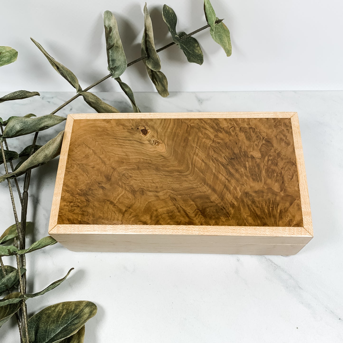 Brown Mallee Burl and Curly Maple Box Keepsake Box-8087