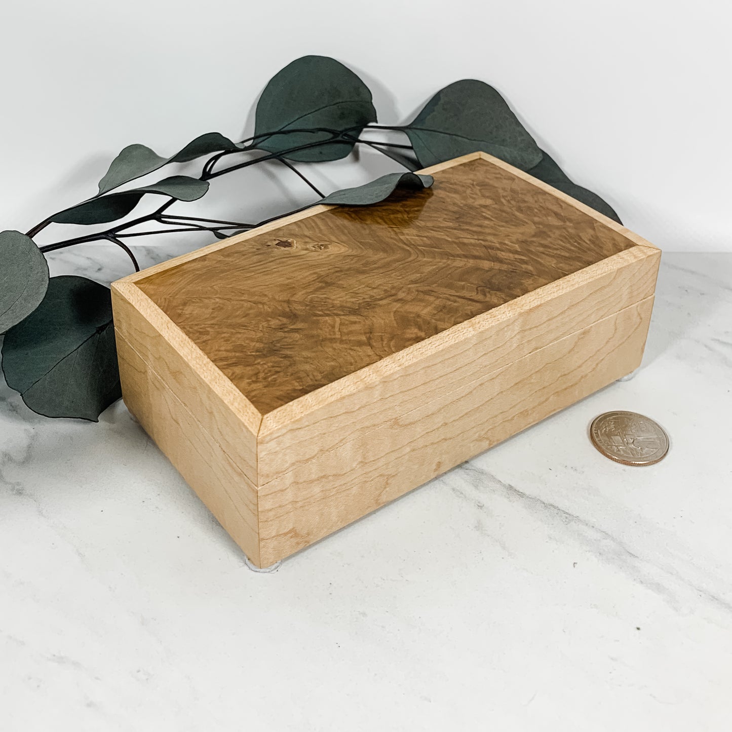 Brown Mallee Burl and Curly Maple Box Keepsake Box-8087