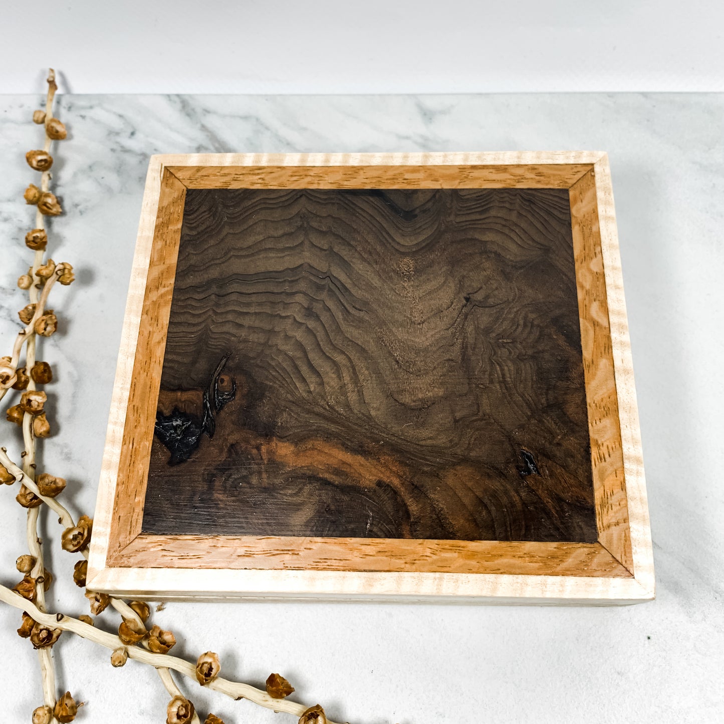 Claro Walnut Burl, Lacewood, and Curly Maple Box Keepsake Box-8133
