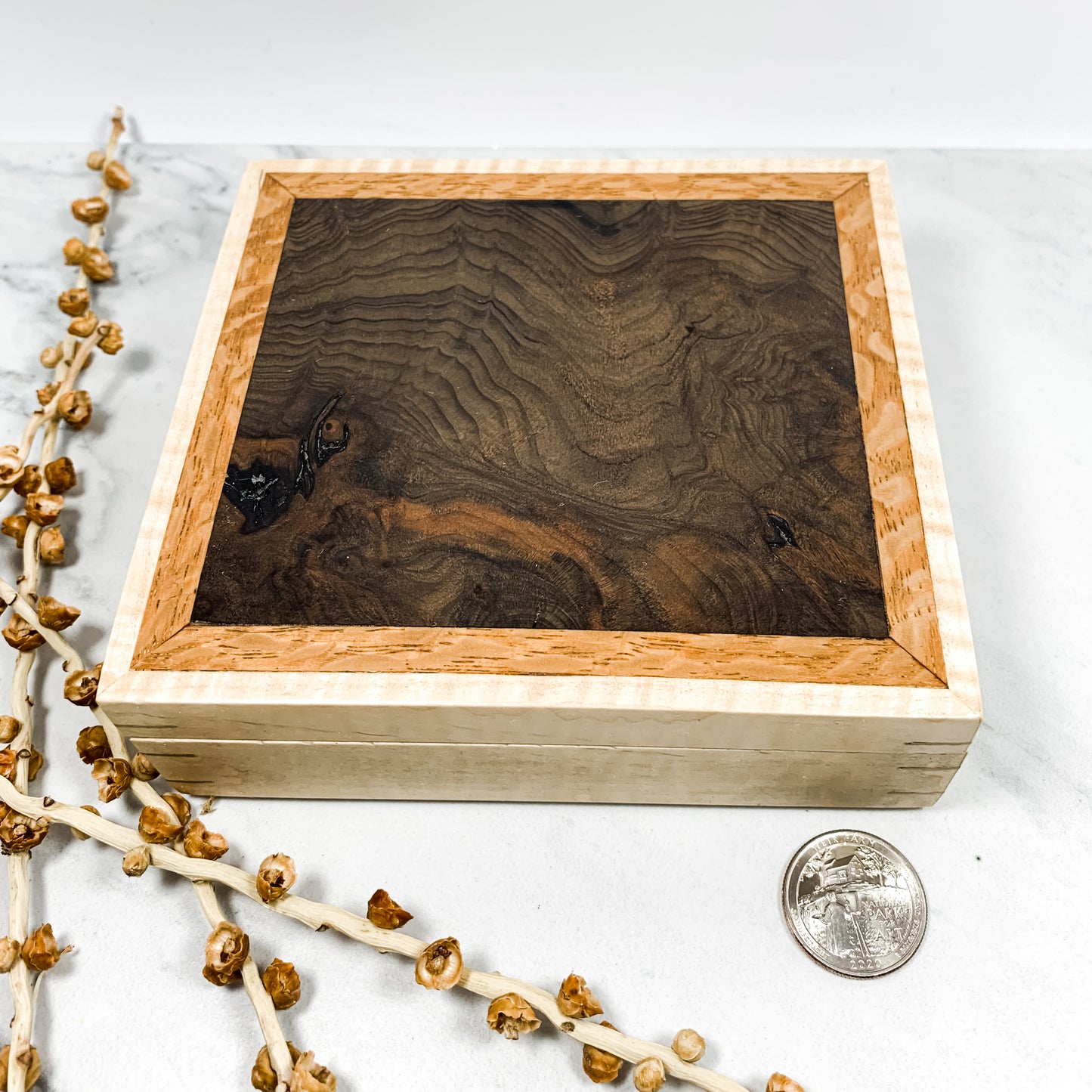 Claro Walnut Burl, Lacewood, and Curly Maple Box Keepsake Box-8133