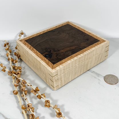 Claro Walnut Burl, Lacewood, and Curly Maple Box Keepsake Box-8133