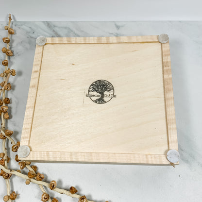 Claro Walnut Burl, Lacewood, and Curly Maple Box Keepsake Box-8133